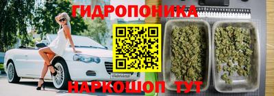 бошки Пенза