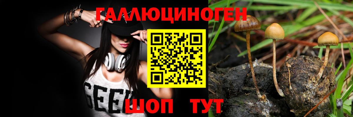 Бутурлиновка  купить закладку  Вход с VPN  Псилоцибиновые грибы Psilocybine cubensis 